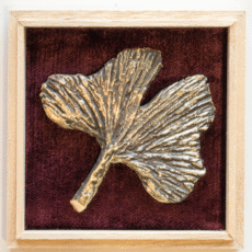 Bladdoosjes: 'Ginkgo biloba'