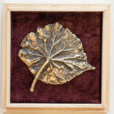 Bladdoosjes: 'Begonia'