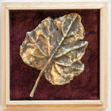 Bladdoosje: 'Cyclaam'