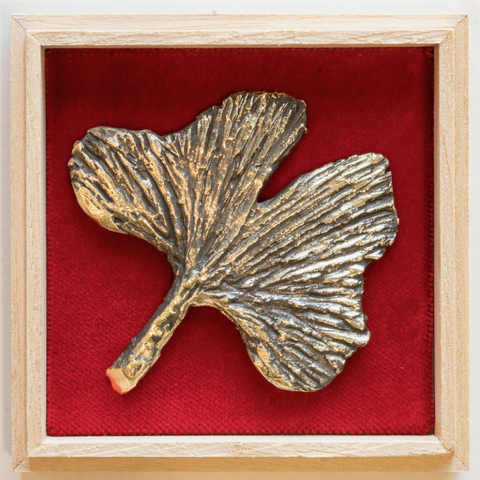 Bladdoosjes: 'Ginkgo biloba' - Afbeelding 2